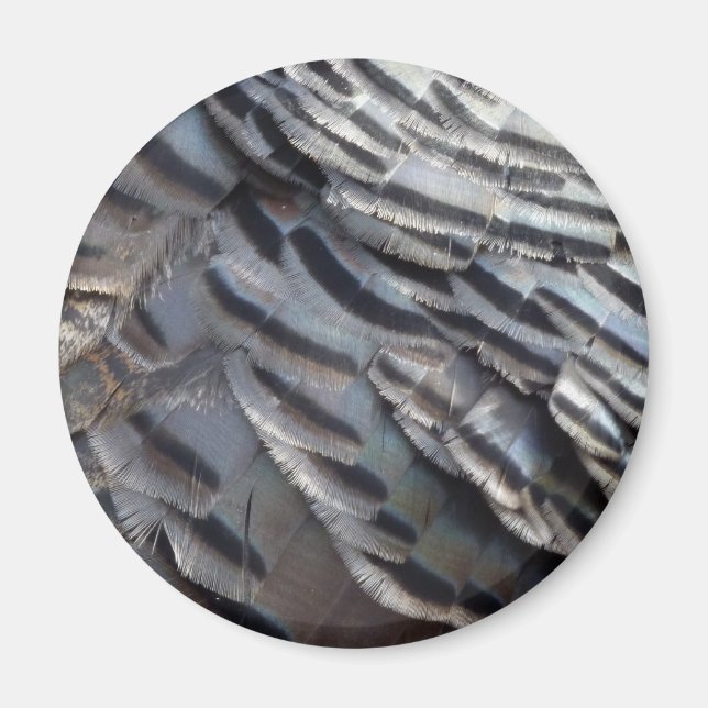 Imán El diseño de la naturaleza abstracta de los plumas (Frente)