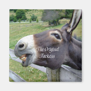 Imán El divertido animal de la granja de mulas de burro