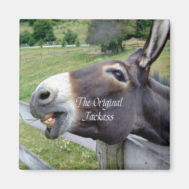 Imán El divertido animal de la granja de mulas de burro (Frente)