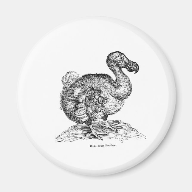 Imán El Dodo (Frente)
