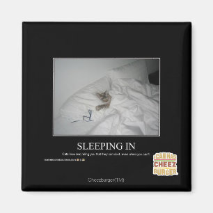 Imán El dormir adentro