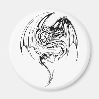 Imán El Dragón Wyvern Son Criaturas Míticas Fantasías
