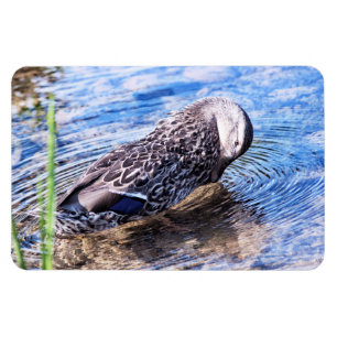 Imán El efecto creciente