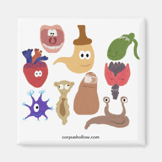 Imán El equipo ocupado de Corpus Hollow