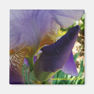 Imán El espacio entre