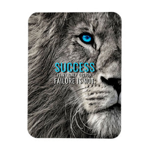 Imán El Éxito De Lion Lover Es Mi Única Opción