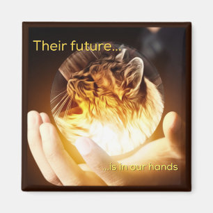 Imán El futuro de los gatos en nuestras manos