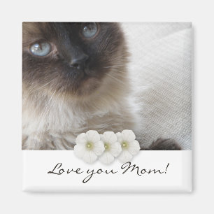 Imán ¡El gatito del ojo azul, le ama mamá!