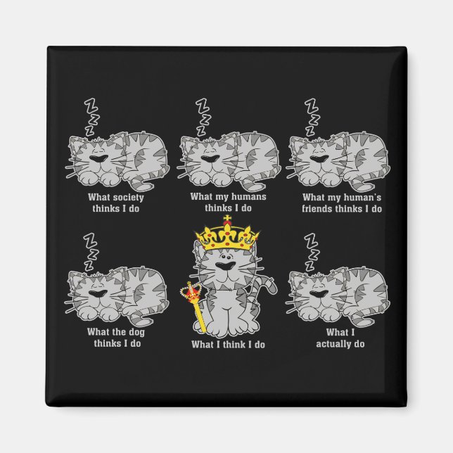 Imán El gato (Frente)