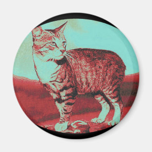 Imán el gato de la Isla de Man