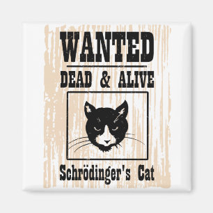 Imán El gato de Schrodinger querido
