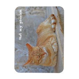 Imán El gato de Tabby descansando en Dubrovnik ¡No es m