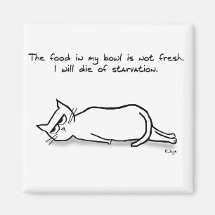 Imán El Gato Exige Comida Fresca - Gracioso Magnate Gat