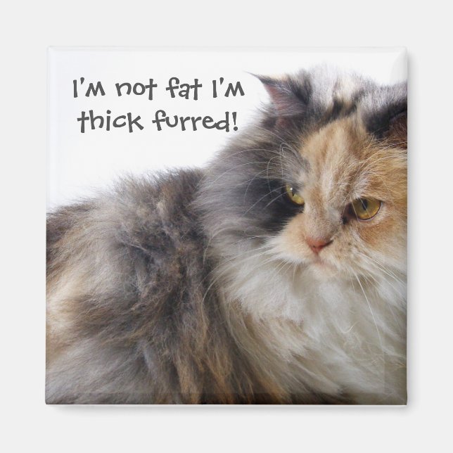 Imán ¡El gato gracioso no es gordo! Espeso (Frente)