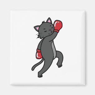Imán El gato hace el boxeo