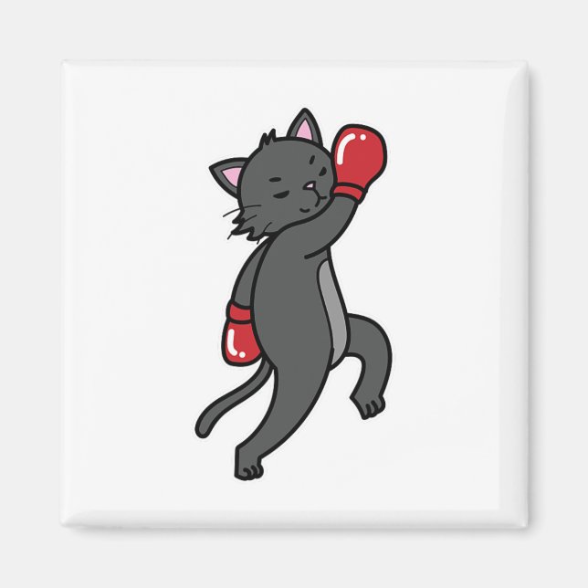 Imán El gato hace el boxeo (Frente)