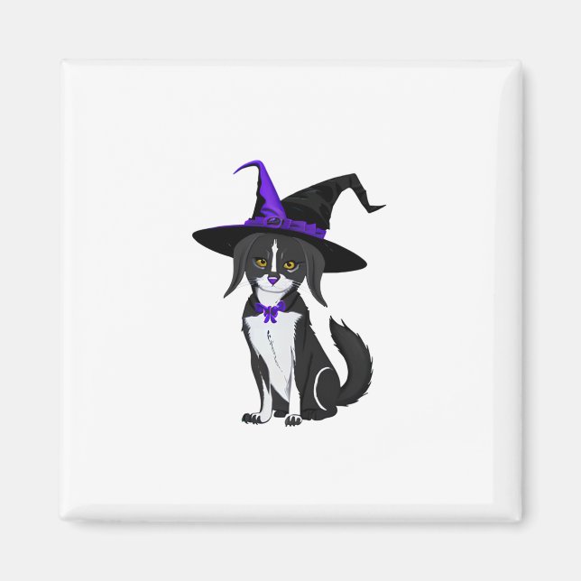 Imán El Gato Negro En La Fiesta De Halloween. Pegatina (Frente)