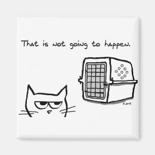 Imán El gato NO irá al veterinario