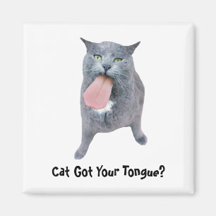 Imán ¿El Gato Tiene Tu Lengua?