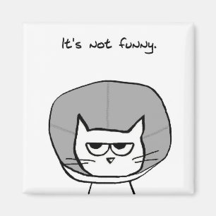 Imán El gato y el cono de la vergüenza - Gracioso imá