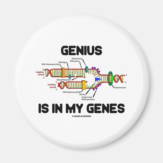 Imán El genio está en mis genes (replicación del ADN) (Frente)