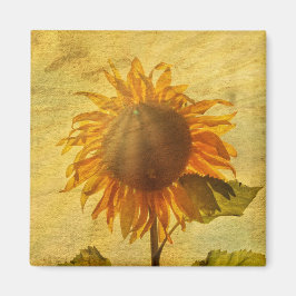 Imán El Girasol