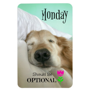 Imán El golden retriever divertido lunes debe ser