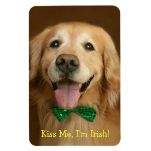 Imán El golden retriever me besa St. Patty del irlandé