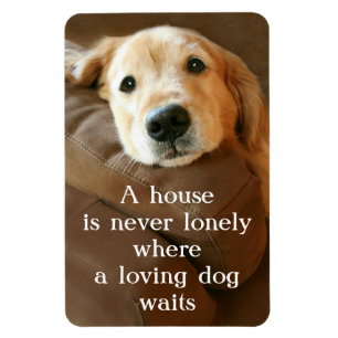 Imán El golden retriever una casa nunca es solo