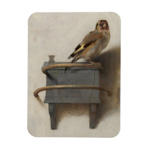 Imán El Goldfinch