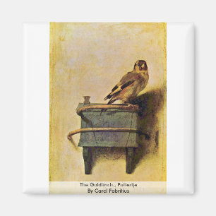 Imán El Goldfinch, Puttertje De Carel Fabricio