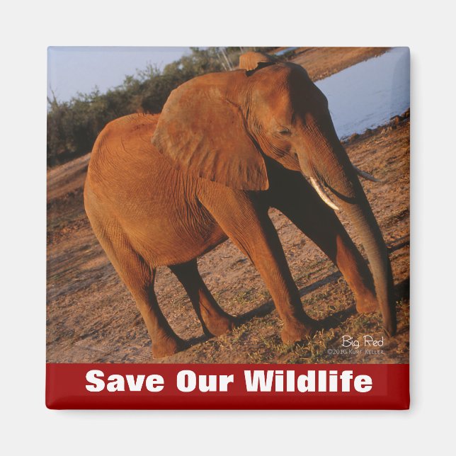 Imán El gran rojo salva nuestra vida salvaje (Frente)