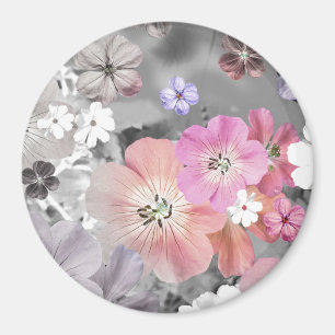 Imán El hada saldrá pronto 2