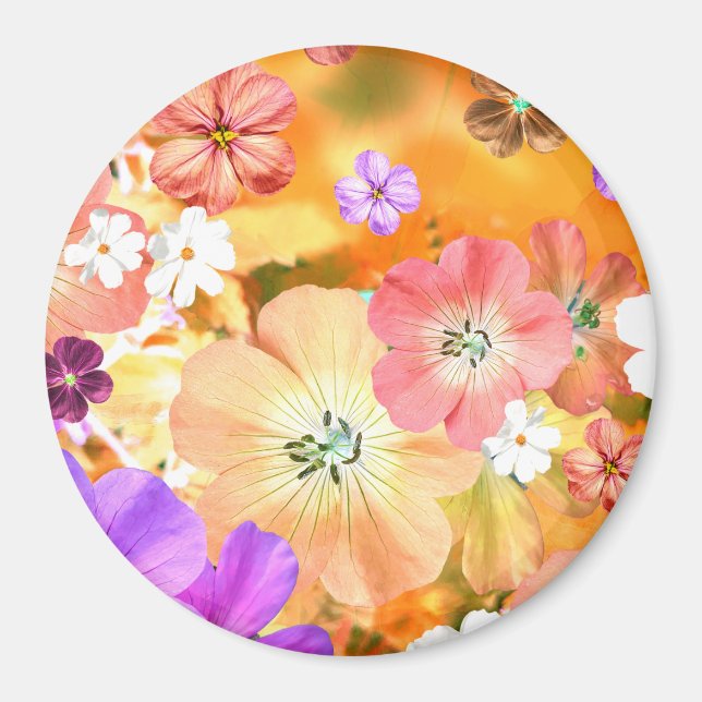 Imán El hada saldrá pronto 3 (Frente)