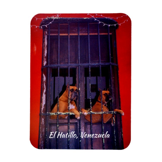 Imán El Hatillo, Venezuela (Vertical)