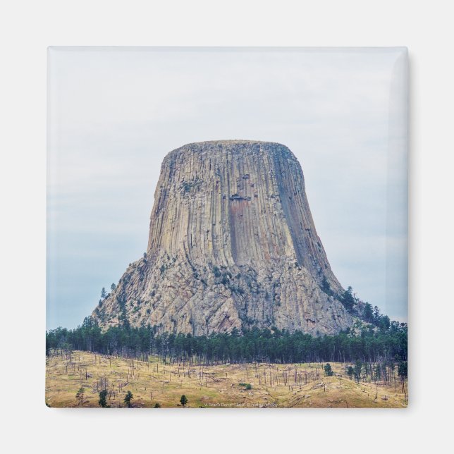 Imán El hogar de un oso (Frente)