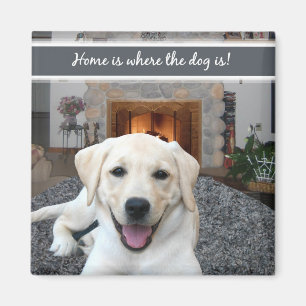 Imán El hogar es donde está el perro