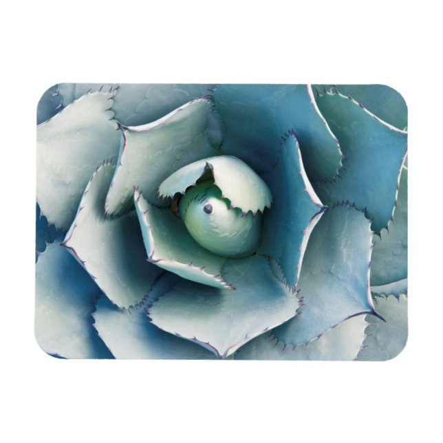 Imán El Jardín Botánico de Huntington (Horizontal)