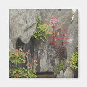 Imán El jardín de la familia Bao, Huangshan, China.
