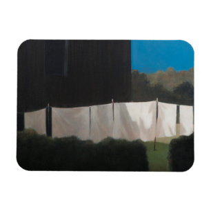 Imán El lavado 2012 de Norma