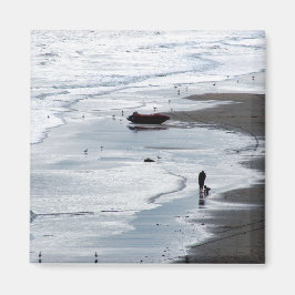 Imán El mar llega a la orilla al atardecer