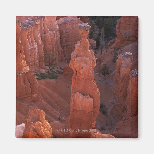 Imán El martillo de Thor en el sendero Navajo (Frente)