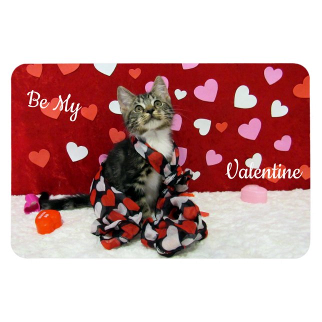 Imán El mejor vestido de San Valentín de Bandit / Kitte (Horizontal)
