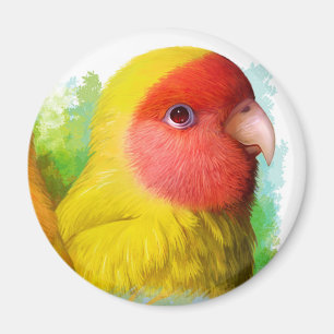 Imán El melocotón de Lutino hizo frente al lovebird