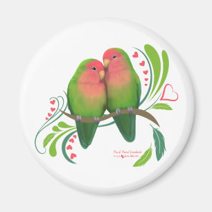 Imán El melocotón hizo frente a pájaros del amor