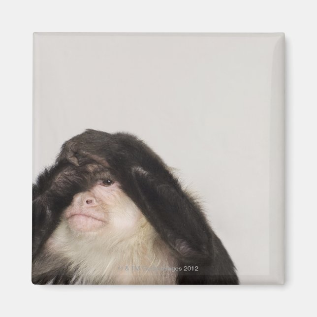 Imán El mono cubriendo sus ojos (Frente)