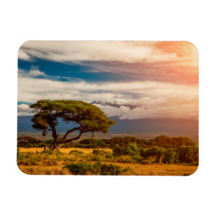 Imán El monte Kilimanjaro el   Amboseli, Kenia