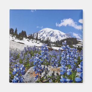Imán El Monte Rainier en el punto del paraíso