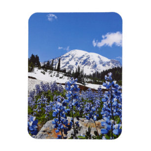 Imán El Monte Rainier en el punto del paraíso