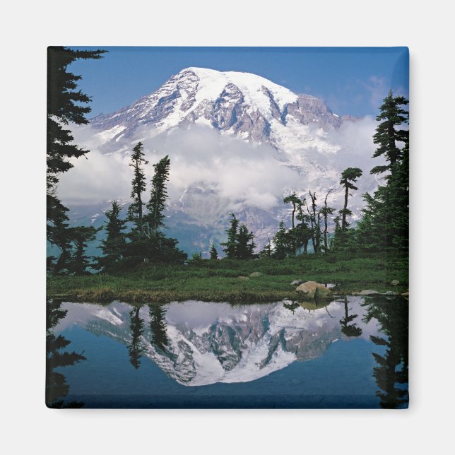 Imán El monte Rainier se relega a una tarta de montaña (Frente)